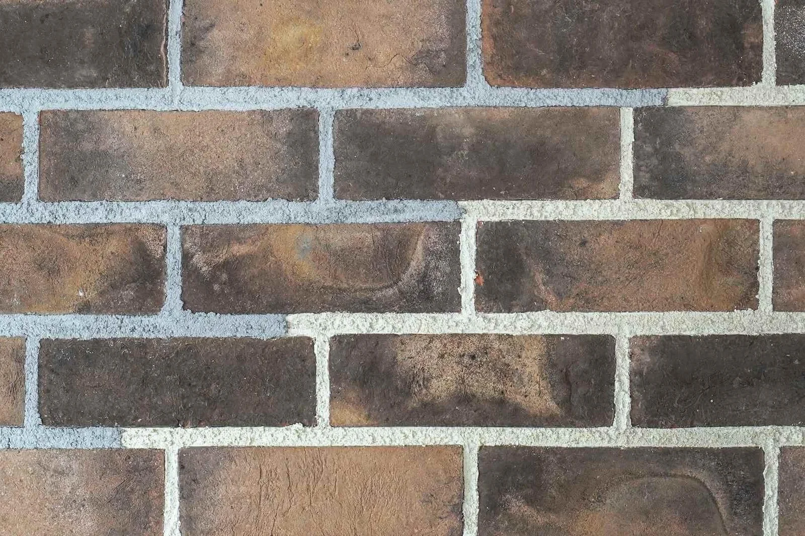 Tortoise Taupe
